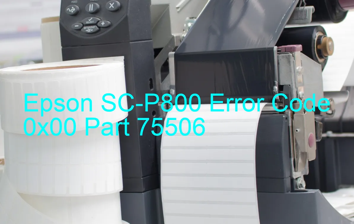 Epson SC-P800 Codice di errore 0x00