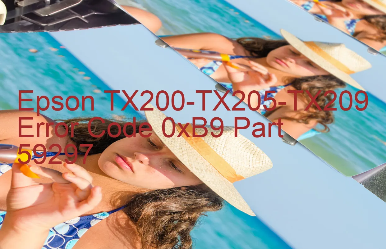 Epson TX200-TX205-TX209 Codice di errore 0xB9