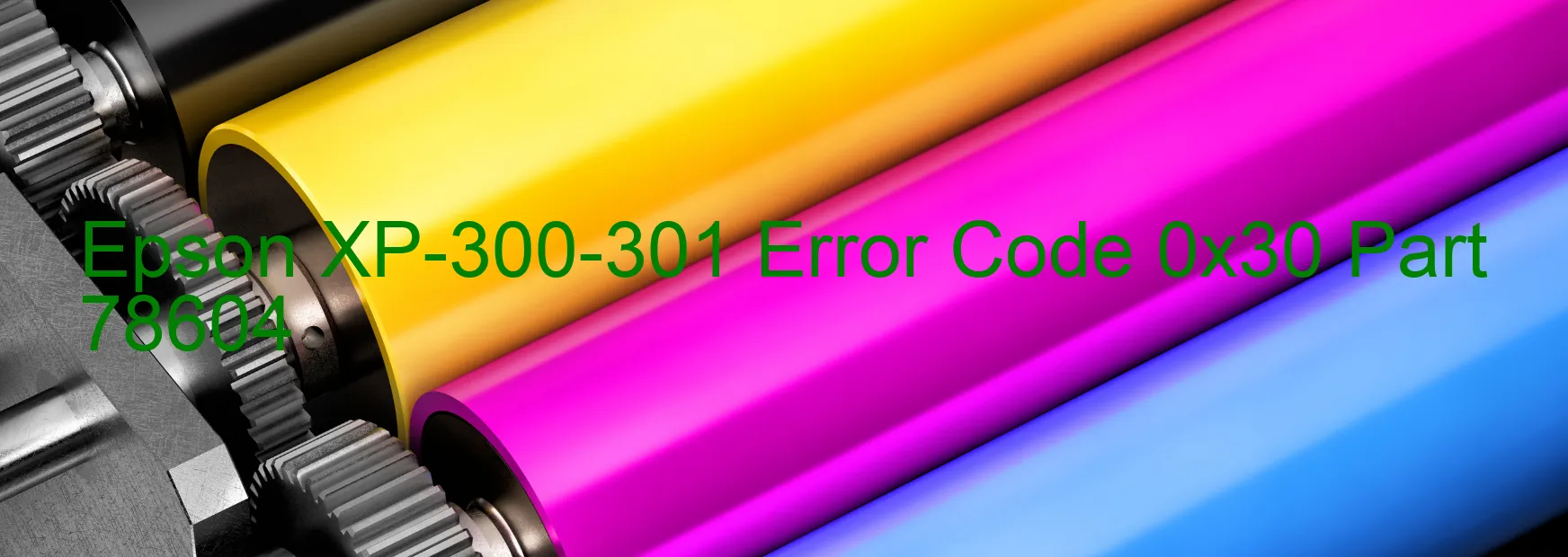 Epson XP-300-301 Codice di errore 0x30